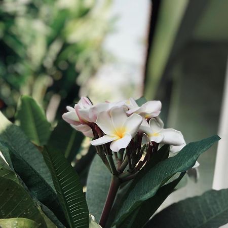 El Homestay Bali Nusa Dua  Extérieur photo